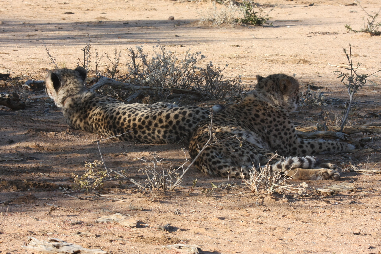 [1310] 2016_06_22_03_01_59_Africa_Canon_EOS_40D_IMG__00240.jpg