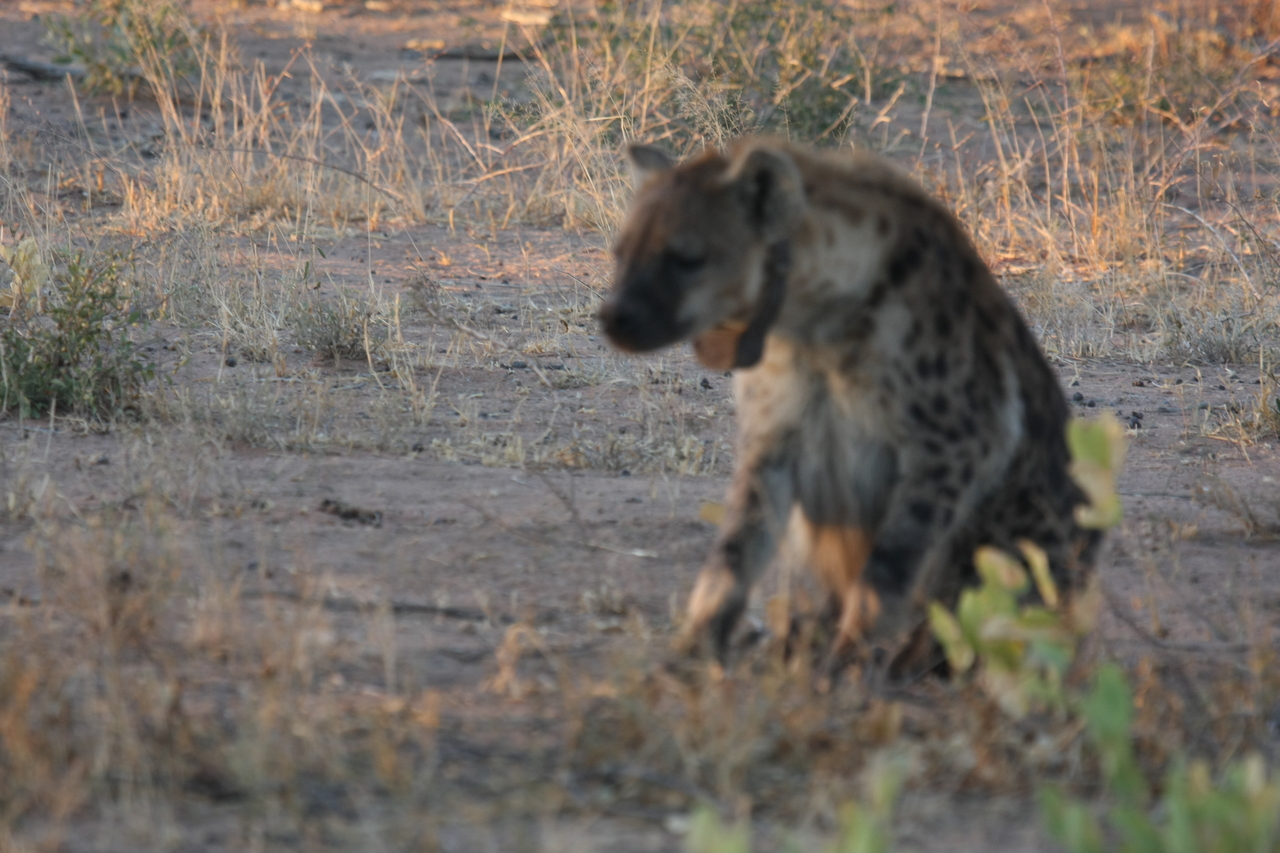 [3369] 2016_06_22_12_07_04_Africa_Canon_EOS_40D_IMG__00793.jpg