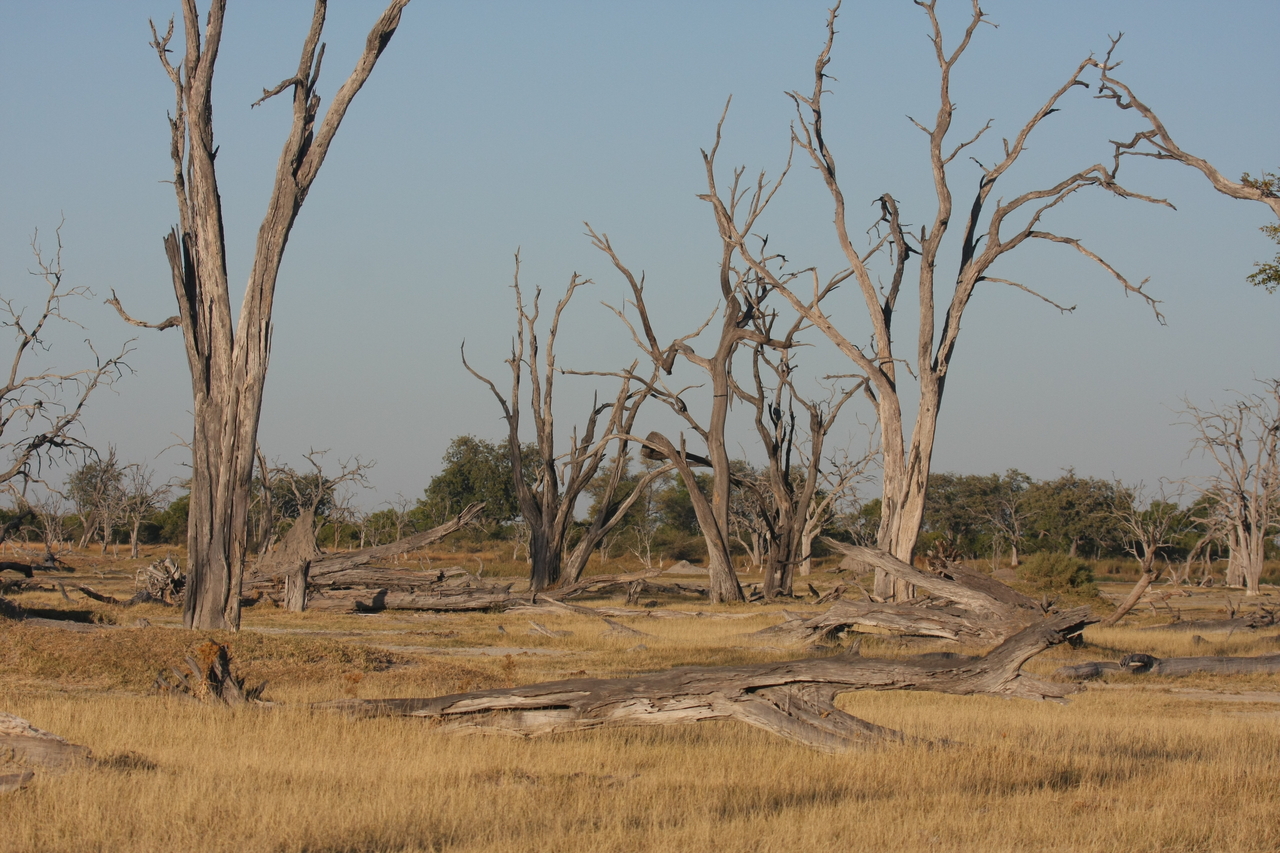 [17753] 2016_06_28_01_47_01_Africa_Canon_EOS_40D_IMG__10591.jpg