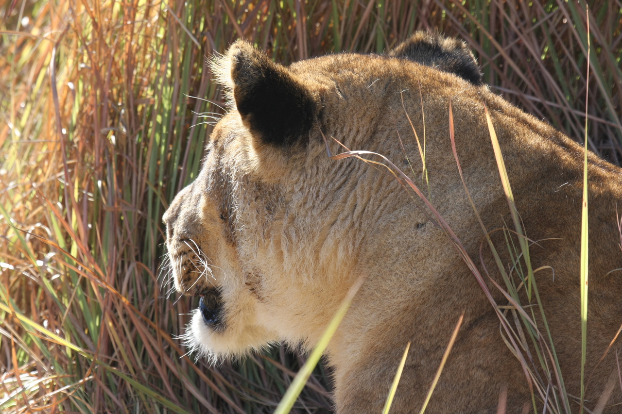 [19022] 2016_06_28_04_22_02_Africa_Canon_EOS_40D_IMG__10275.jpg
