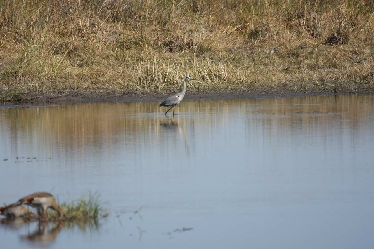 [19744] 2016_06_28_05_33_07_Africa_Canon_EOS_40D_IMG__03092.jpg