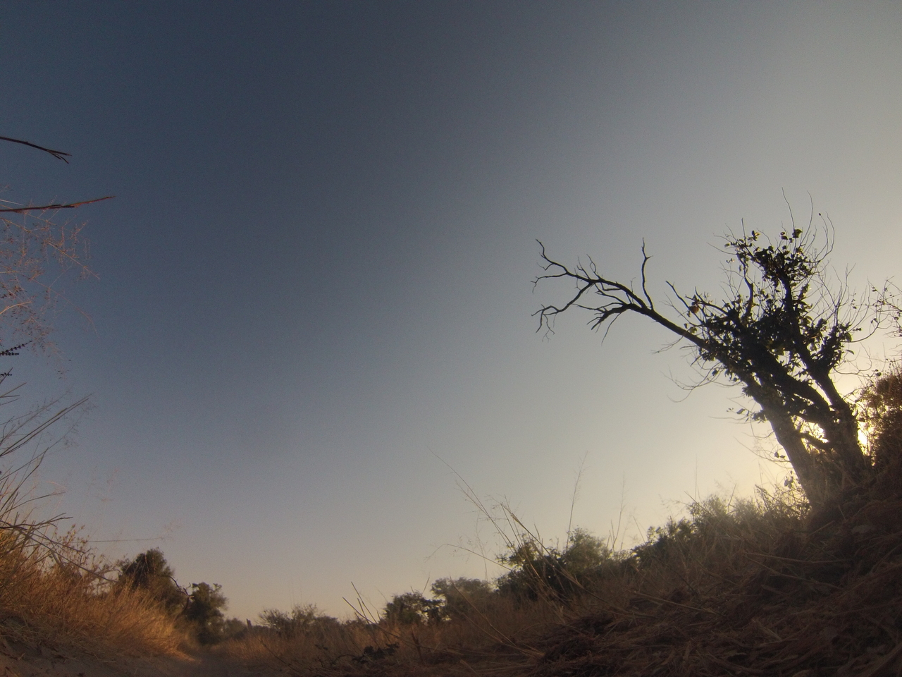 [26018] 2016_06_30_16_06_02_Africa_Hero3-Silver_Edition_IMG__00756.jpg