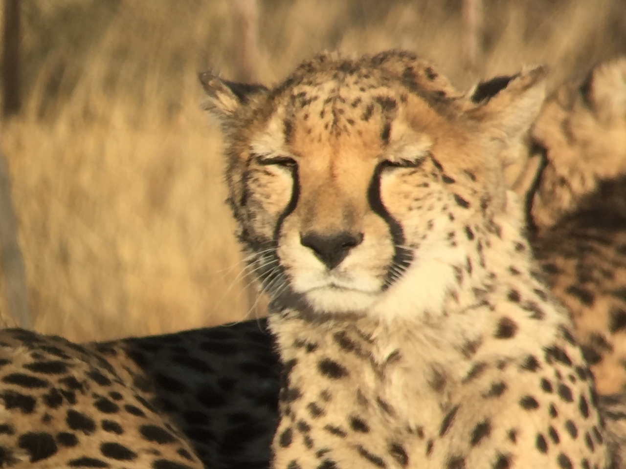 [9380] 2016_06_23_16_20_09_Africa_iPhone_6_IMG_7975_02898.jpg