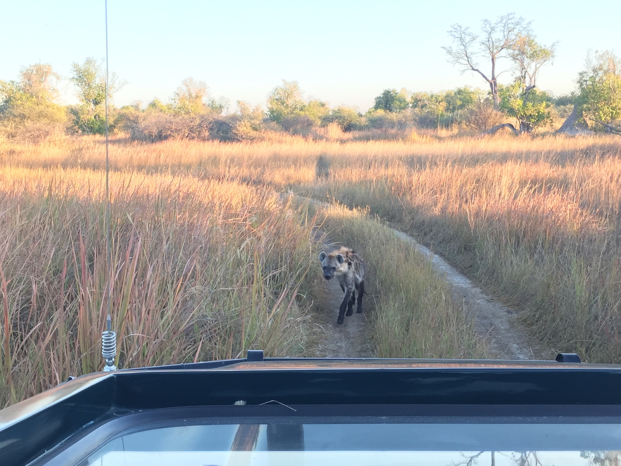 [22217] 2016_06_29_17_41_08_Africa_iPhone_6_IMG_8561_03430.jpg