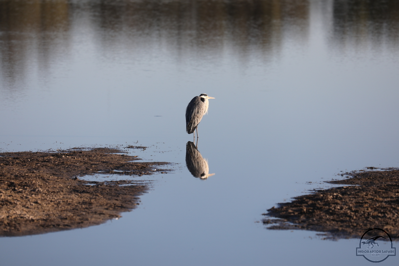 [465] 2019_06_21_12_49_20_Africa_Canon_EOS_5D_Mark_IV_IMG_0003678_00074.jpg