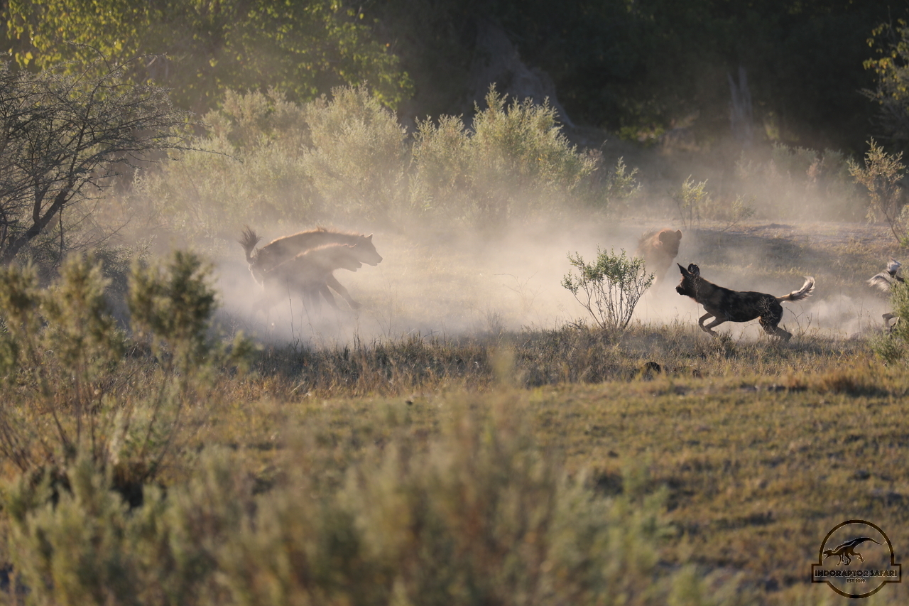 [1053] 2019_06_20_12_38_59_Africa_Canon_EOS_5D_Mark_IV_IMG_0000679_00003.jpg