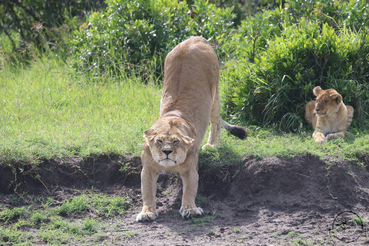 [1124] 2019_07_02_09_04_30_Africa_Canon_EOS_77D_IMG_2994_00499.jpg