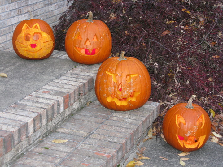 Halloween Pumpkins | 31 October 2011 |  Mon, 31 Oct 2011 | 5:28:52 PM