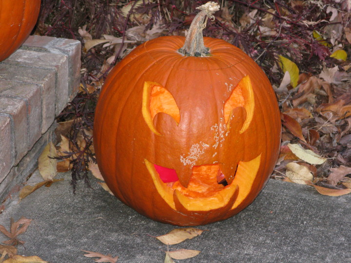 Halloween Pumpkins | 31 October 2011 |  Mon, 31 Oct 2011 | 5:29:08 PM