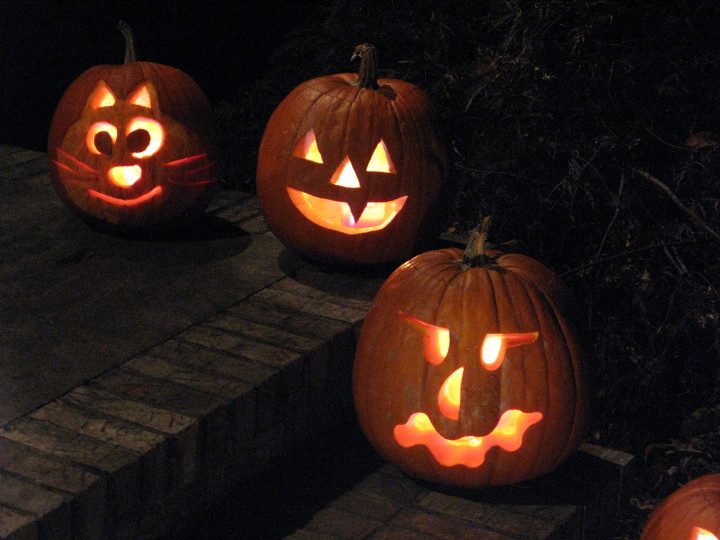 Halloween Pumpkins | 31 October 2011 |  Mon, 31 Oct 2011 | 8:27:32 PM