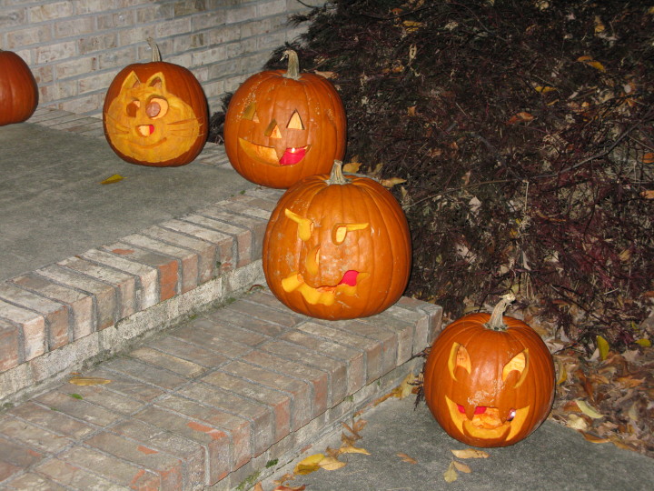 Halloween Pumpkins | 31 October 2011 |  Mon, 31 Oct 2011 | 8:33:15 PM