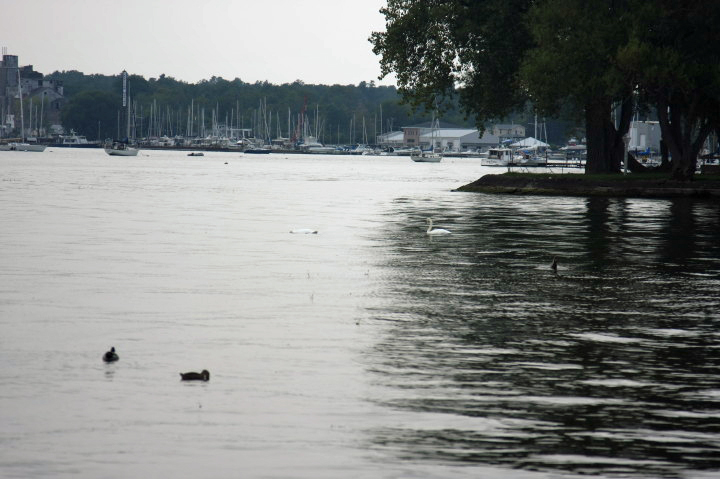 Labor Day Weekend at Sodus Point, NY |  Sun, 4 Sep 2011 | 3:30:21 PM