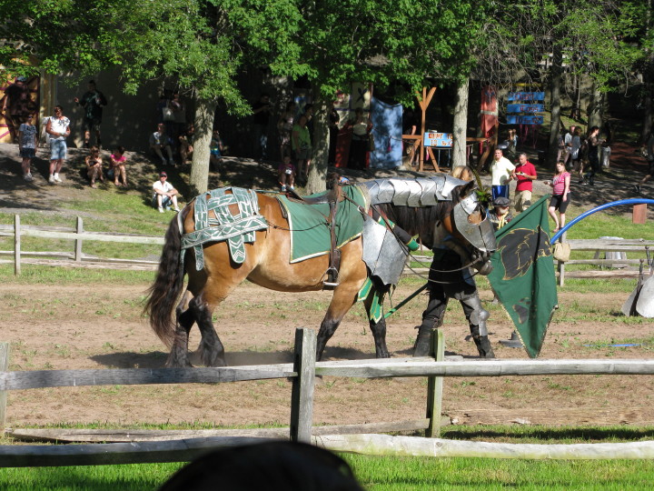 Sterling Renaissance Festival