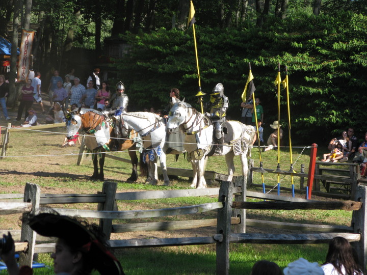 Sterling Renaissance Festival