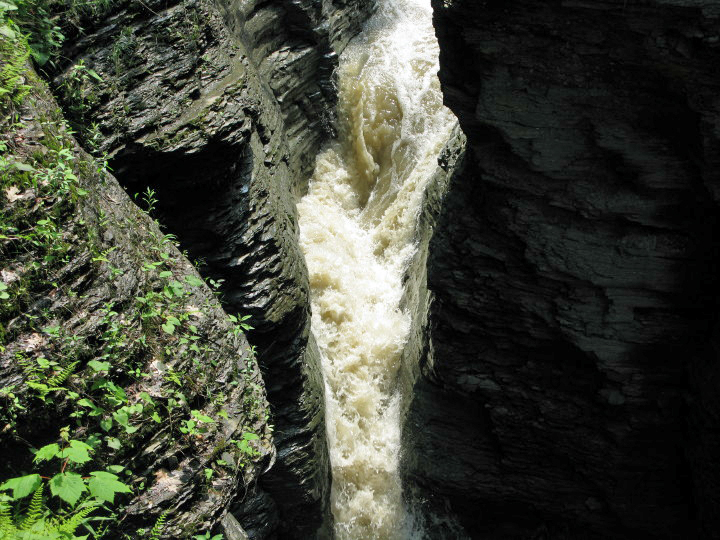 Watkins Glen State Park