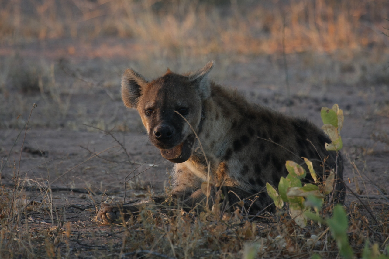 [3374] 2016_06_22_12_07_13_Africa_Canon_EOS_40D_IMG__00795.jpg