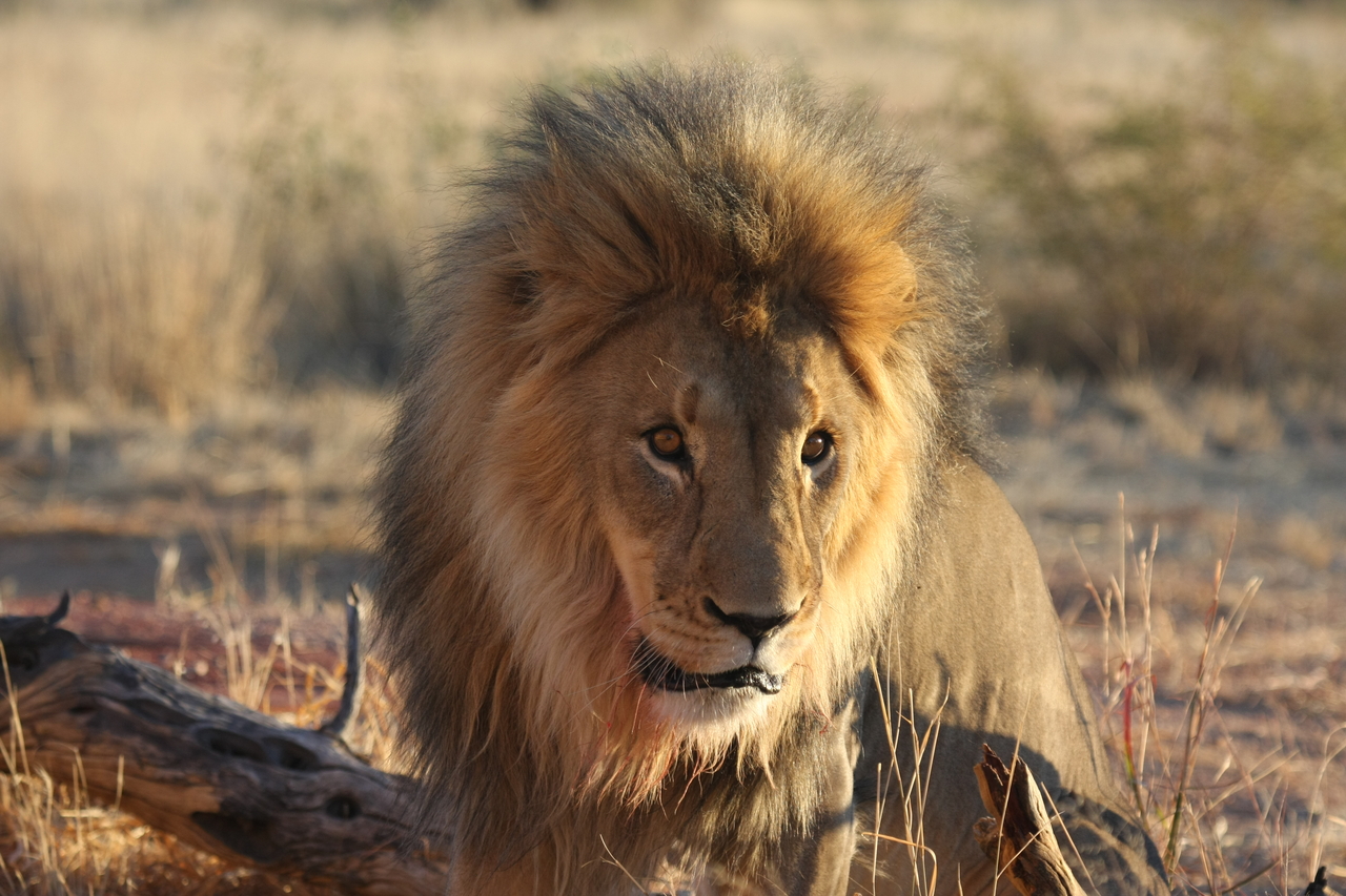 [8655] 2016_06_23_11_55_14_Africa_Canon_EOS_40D_IMG__09277.jpg